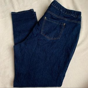 Energie Plus/Curvy Stretchy Blue Jeans 3X
